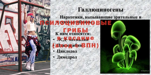 ECSTASY Армянск